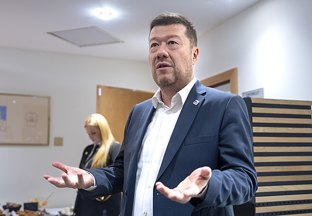 SPD a Motoristé se tlačí do vlády, ANO by radši od nich podporu své jednobarevné