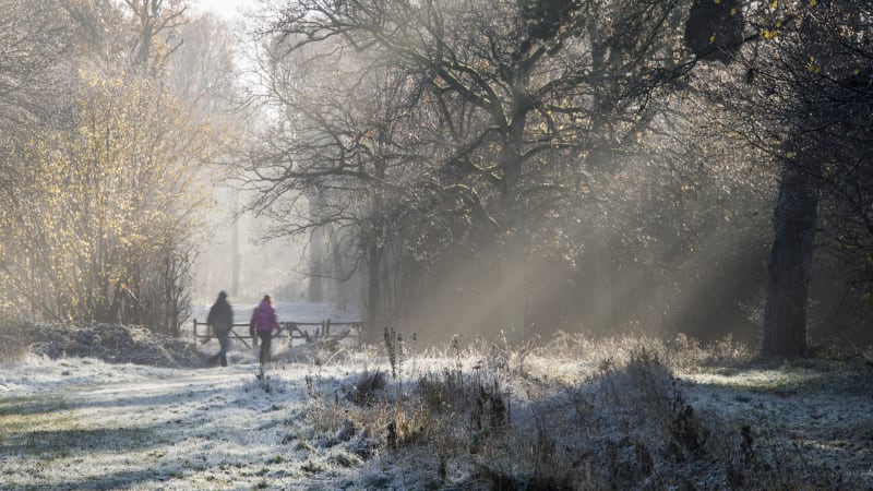 Sledujte RADAR: O víkendu se prudce ochladí, v noci bude mrznout. Pak přijde obrat