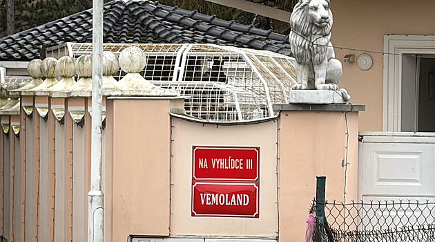 Vémola a kolotočář. Jak se bojovník MMA stal právoplatným členem podsvětí