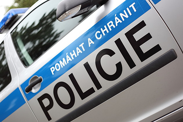 Matka napadla malé dítě, volala žena na policii. Omyl, chlapec plakal, protože upadl