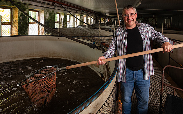 Ryba budoucnosti? Farmář chce naučit Čechy jíst sumečka, kádě má ve starých stájích